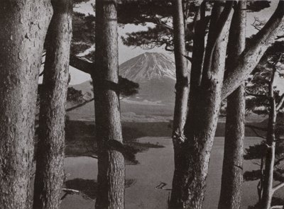 松林の間から見える富士山（白黒写真 作： Herbert Ponting