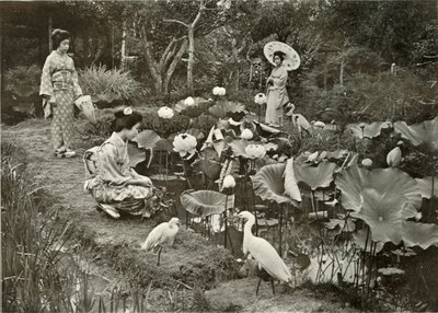 ロータスランド、1910年。 作： Herbert Ponting