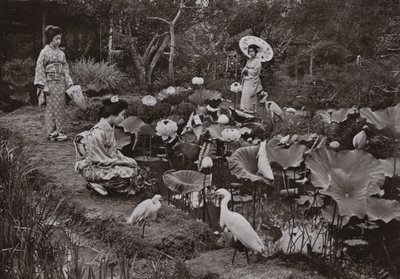 蓮の庭で（モノクロ写真 作： Herbert Ponting