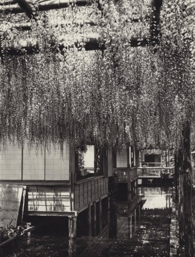 1920年代の日本。東京・亀戸（モノクロ写真 作： Herbert Ponting