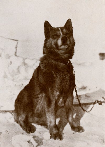 クリスラヴィツァ、c19101913、1913 作： Herbert Ponting
