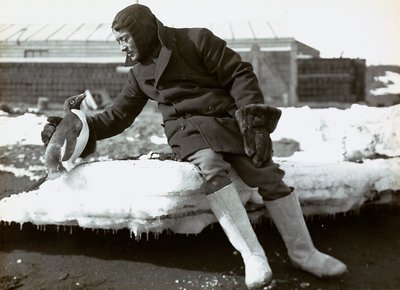 イギリス南極探検隊のペンギンと男性 作： Herbert Ponting
