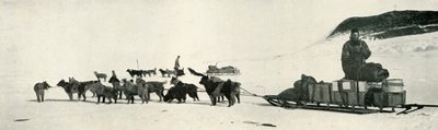 ハア・ポイントを離れた犬のチームとのミアーズとディメトリ、c1911、1913 作： Herbert Ponting