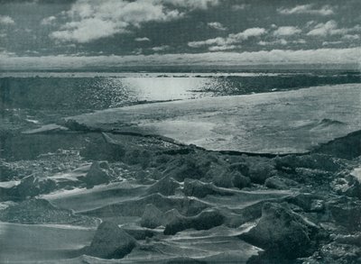 パックの月光、c19101913、1913 作： Herbert Ponting