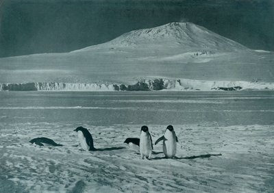 エレバス山、c1911、1913 作： Herbert Ponting