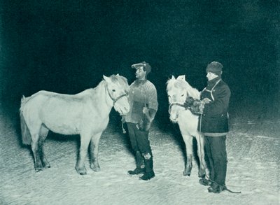 1911年、1913年の冬にポニーを行使する下級警官のクリーンとエヴァンス 作： Herbert Ponting