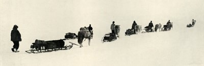 1913年、1913年3月のポニー 作： Herbert Ponting