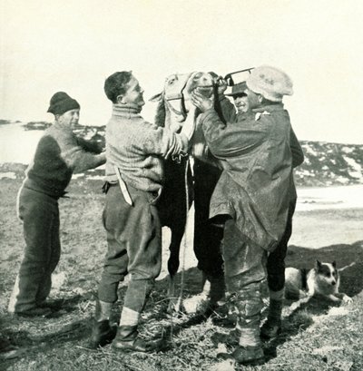 ポニーはウイスキー、1911年2月8日、1913年 作： Herbert Ponting