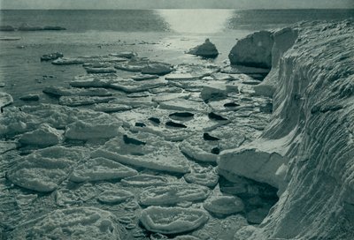 エバンス岬で新しく形成されたパンケーキの氷を浴びているアザラシ、c19101913、1913 作： Herbert Ponting