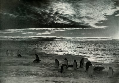 マクマードサウンドの真夜中の太陽、c19101913、1913 作： Herbert Ponting