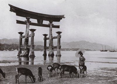 宮島の旧鳥居（モノクロ写真 作： Herbert Ponting