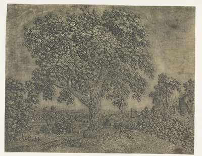 大きな木 作： Hercules Segers