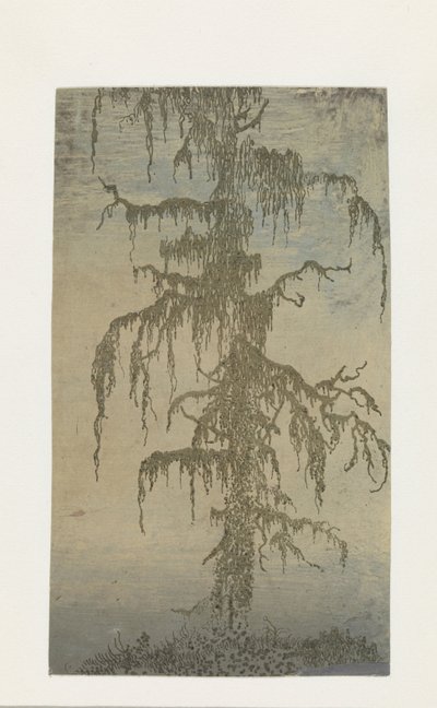 苔むした木 作： Hercules Segers