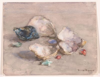 浜辺の貝殻 作： Herman Bogman (signed by artist)