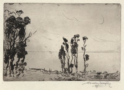 海岸の風景 作： Hermann Dudley Murphy
