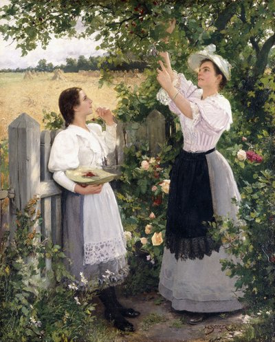 チェリーピッカーズ、1894 作： Hermann Seeger