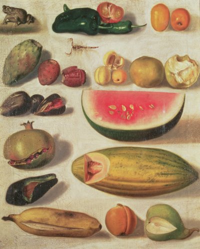 果物とヒキガエルのある静物 作： Hermenegildo Bustos