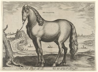 ブルターニュの馬 (Brittanus) Britannvs (オブジェクトのタイトル) オーストリアのドン ファンの王室厩舎の馬の品種 (シリーズ タイトル) Equile Ioannis Austriaci Caroli (シリーズタイトル) 作： Hieronymus Wierix