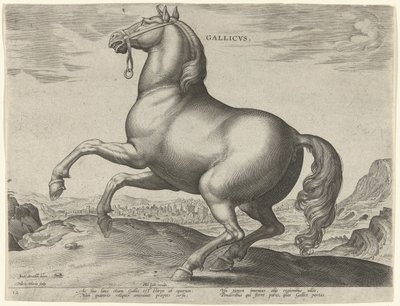 フランスからの馬 (Gallicus) Gallicvs (オブジェクトのタイトル) オーストリアのドン ファンの王室厩舎の馬の品種 (シリーズ タイトル) Equile Ioannis Austriaci Caroli (シリーズタイトル) 作： Hieronymus Wierix