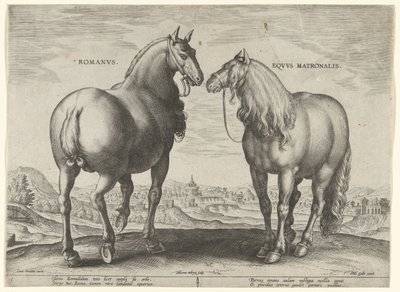 ローマの馬と代理母の牝馬 Romanvs Eqvvs Matronalis (オブジェクトのタイトル) オーストリアのドン ファンの王室厩舎の馬の品種 (シリーズ タイトル) Equile Ioannis Austriaci Caroli (シリーズタイトル) 作： Hieronymus Wierix