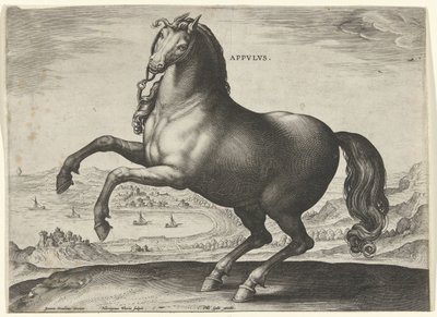 南イタリアの馬（Appulus） Appvlvs (オブジェクトのタイトル) オーストリアのドン ファンの王室厩舎の馬の品種 (シリーズ タイトル) Equile Ioannis Austriaci Caroli (シリーズタイトル) 作： Hieronymus Wierix
