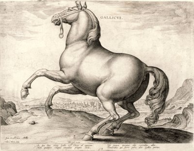 オーストリアのドンファンの厩舎からの馬シリーズのガリカス（彫り込み彫刻） 作： Hieronymus or Jerome Wierix