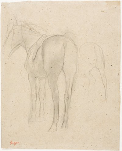馬の研究 作： Hilaire Germain Edgar Degas