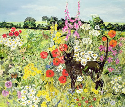 夏の猫 作： Hilary Jones