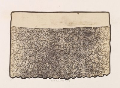 1857年、訪問修道院に属するレースアルブ。 作： Hippolyte Malègue