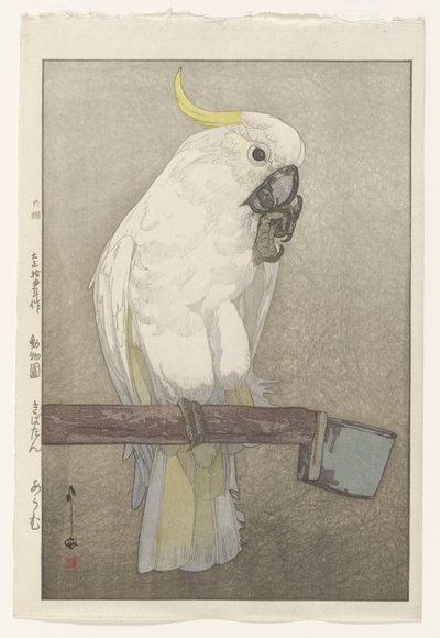 サルファー・クレステッド・オウム 作： Hiroshi Yoshida