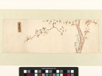 満開の桜 作： Hiroshige (I) , Utagawa (attributed to)