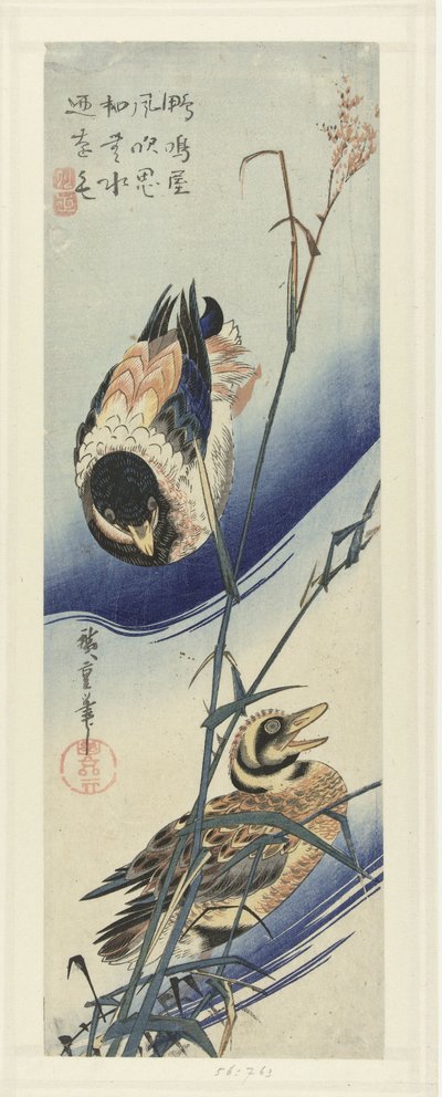 葦のそばのアヒル 作： Hiroshige (I) , Utagawa