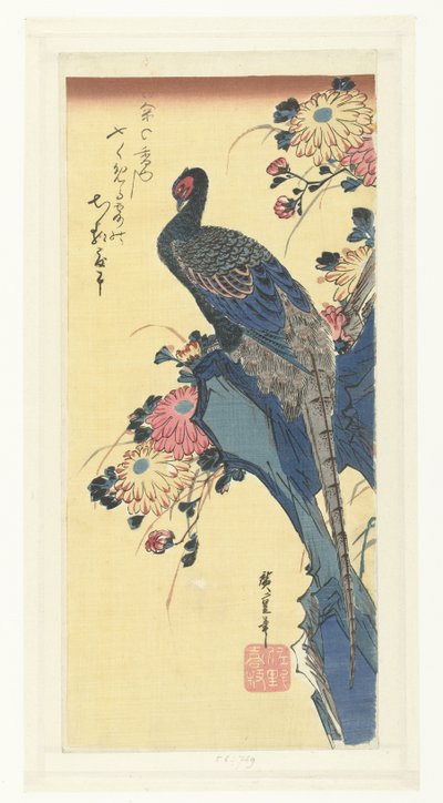 キジと菊 作： Hiroshige (I) , Utagawa