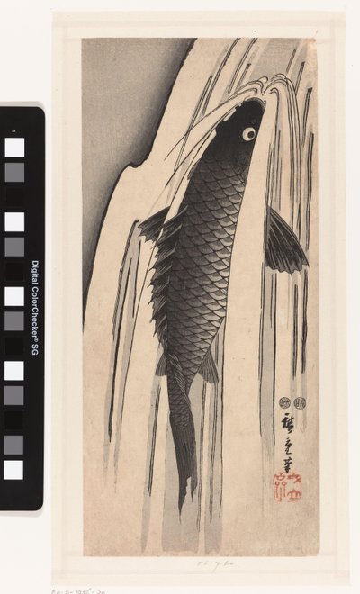 滝を泳ぐ鯉 作： Hiroshige (I) , Utagawa