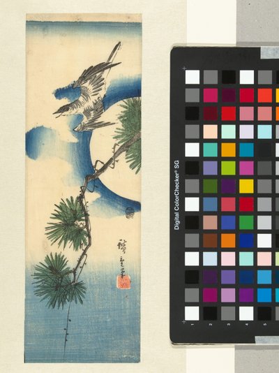 松の枝と満月のカッコウ 作： Hiroshige (I) , Utagawa