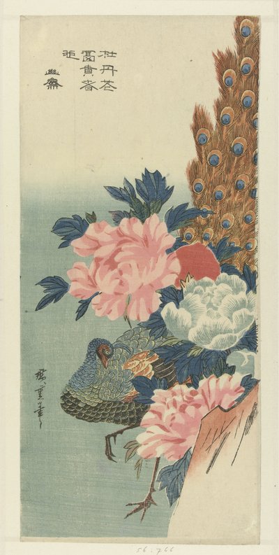 孔雀と牡丹 作： Hiroshige (I) , Utagawa