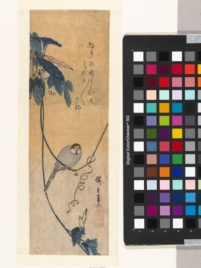 鳥と青いヒルガオ 作： Hiroshige (I) , Utagawa