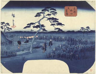 東都堀切の菖蒲の開花 ととほりきり花しょうぶ 作： Hiroshige (II) , Utagawa