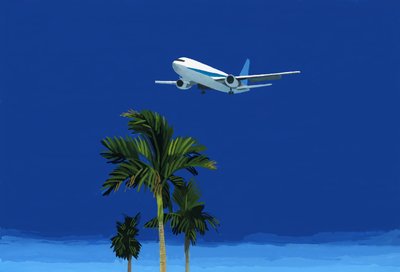 飛行機とヤシの木 作： Hiroyuki Izutsu