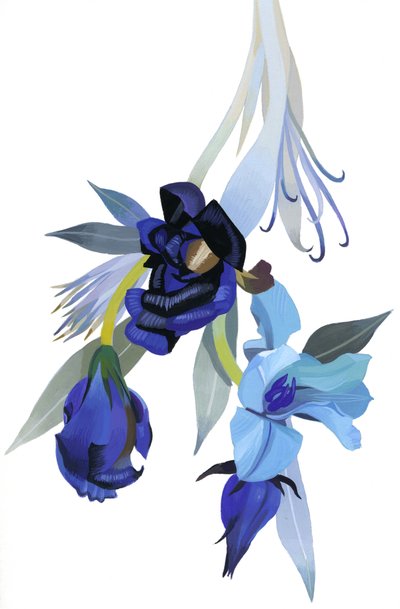 青を基調に描かれた花 作： Hiroyuki Izutsu