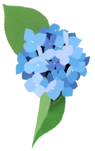紫陽花 作： Hiroyuki Izutsu
