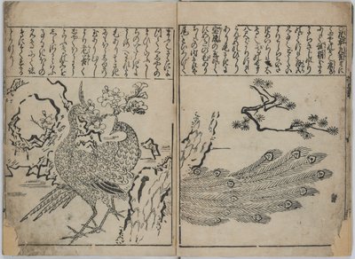 花鳥画集（花鳥図譜） 作： Hishikawa Moronobu