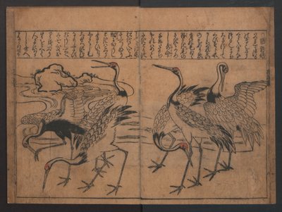Illustrationen von Vögeln und Blumen (Kachō e-zukushi) 作： 菱川師宣