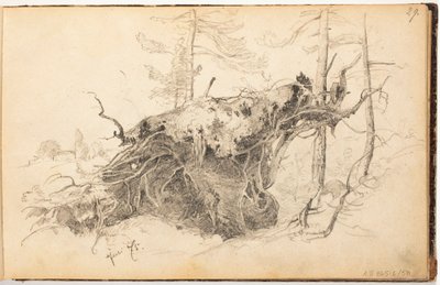  作： Hjalmar Munsterhjelm