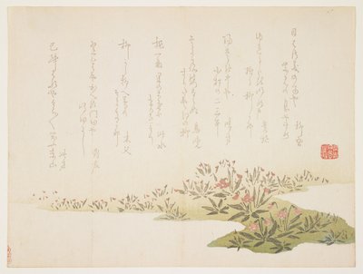 スミレ、c.1848-53（カラー木版画） 作： Ho Shu