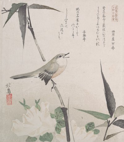 バラと竹とナイチンゲール、19 世紀., 19 世紀. 作： Hokuba
