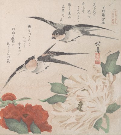 春雨集 春雨集 vol. 3: ツバメと牡丹、約。 1820年頃。 1820年。 作： Hokuba