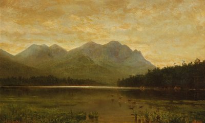 アッパーオーザブル湖、1868年。 作： Homer Dodge Martin