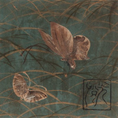 蝶と草、江戸時代、17世紀初頭。 作： Hon
