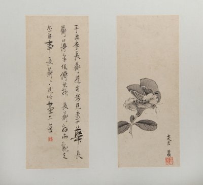  作： Hongshou Chen